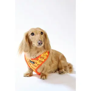 Hot Dog Harness
