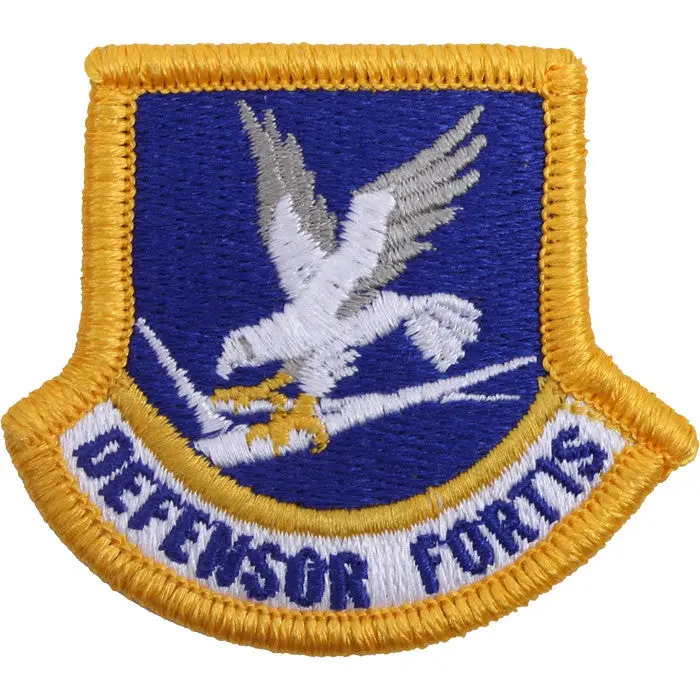 US Air Force Beret Flash Patch, Defensor Fortis Embroidery, Eagle Embroidery Sewing Supply
