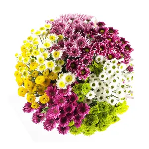 Assorted Novelty Pompom