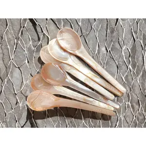 Mother of Pearl Spoon Set of 6