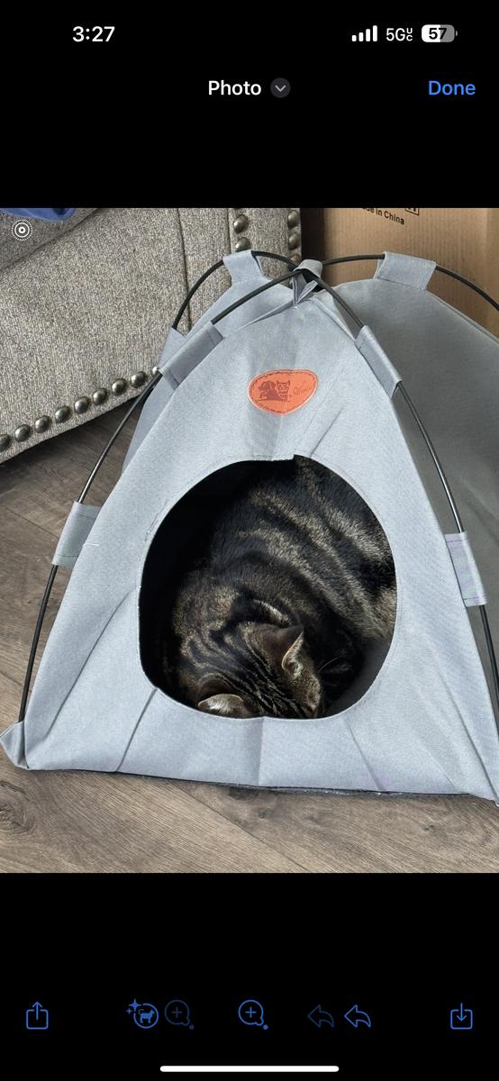 Item: gray, L(within 15 pounds)