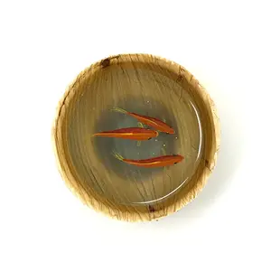 Hand Painted Koi Painted on Layers of Resin Glow in the Dark in a Palm Leaf Bowl Home Decor