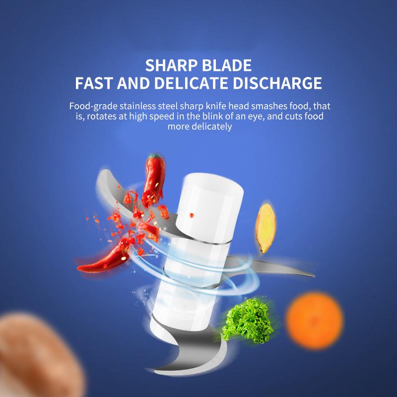 Multi-Function Meat and Vegetable Chopper/ Grinder