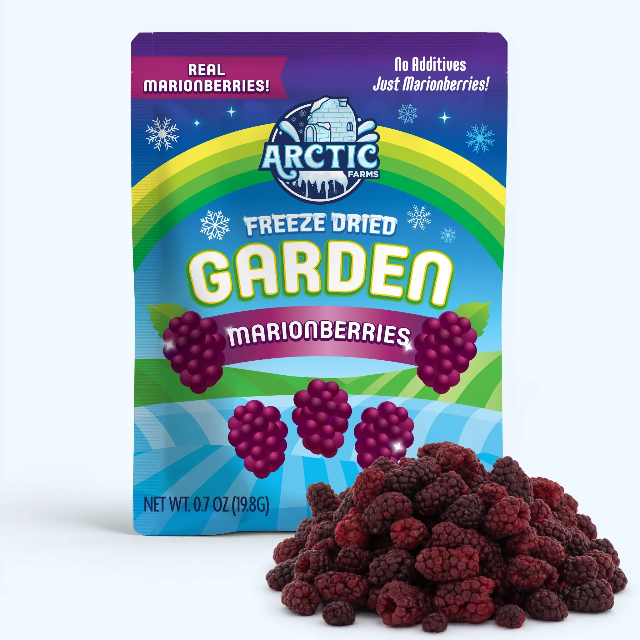 Freeze Dried Marionberries Freeze Dried Marionberries