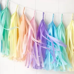 Pastel Rainbow Tissue Paper Tassel Garland Colorful Decoration Wedding Banner