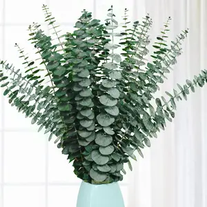 20 Pcs Preserved Dried Eucalyptus Stems, 17" Natural Fresh Eucalyptus Branches for Shower, Real Plant for Vase Filler, Dried Flowers Arrangement,