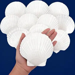 4"-5" White Seashells Bulk for DIY Crafts - Natural Scallop Shells for Painting, Baking, Beach Wedding Decor - Ocean Themed Party Supplies - Home Decor Shells for Coastal Design - Large Bulk Shells for Art Projects Ornaments