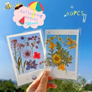 DIY Photo Frame Series Bookmarks, Handmade Plant Pressed Flower Frames, Save Photos, Craft Your Own Unique Decorative Items