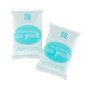 Reusable Ice Packs, 2 Pack