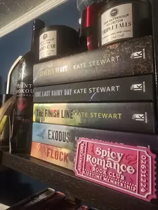 Spicy Romance Book Trope Ticket Magnet