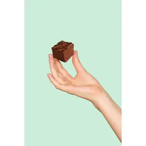 Double Chocolate Marshmallows