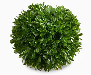 Faux Boxwood Orb 5"