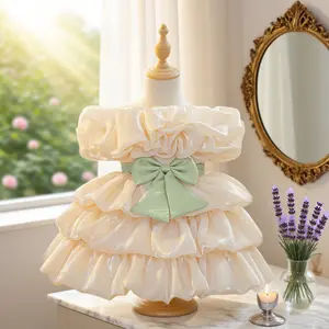3098 Baby Girl Elegant Dress Skirt Multi-layer Cake Skirt Suitable for Birthday Party Christening Birthday Gift