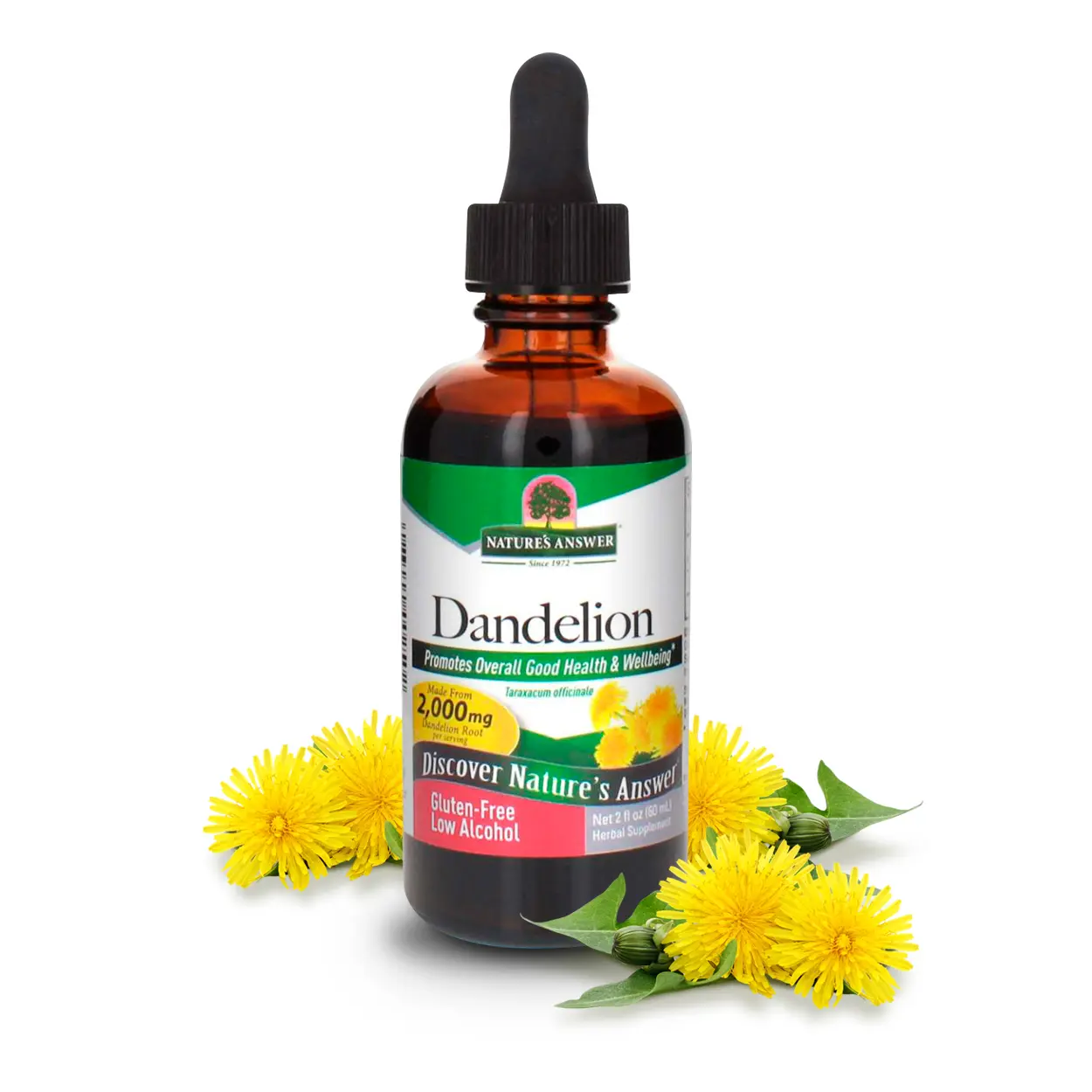 Nature's Answer Dandelion Root Extract, 2-Fluid Ounces | Liver & Kidney Support | Promotes Digestion | Single Count Healthcare Supplement Dietary Edible