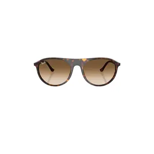 Ray-Ban Shield Sunglasses in Havana Ray-Ban Shield Sunglasses in Havana