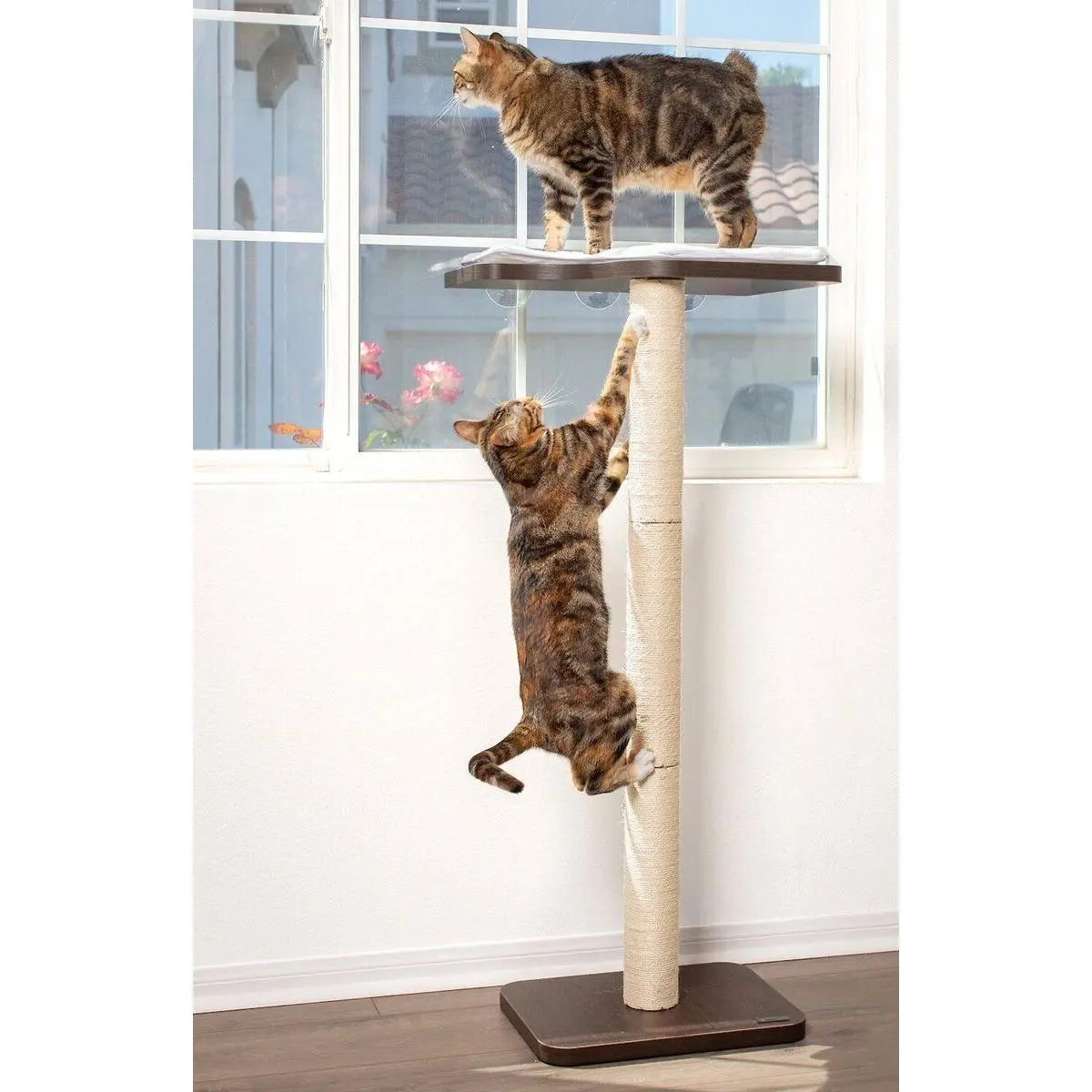 PetFusion Ultimate Window Cat Perch, 45 inch, 45 inch