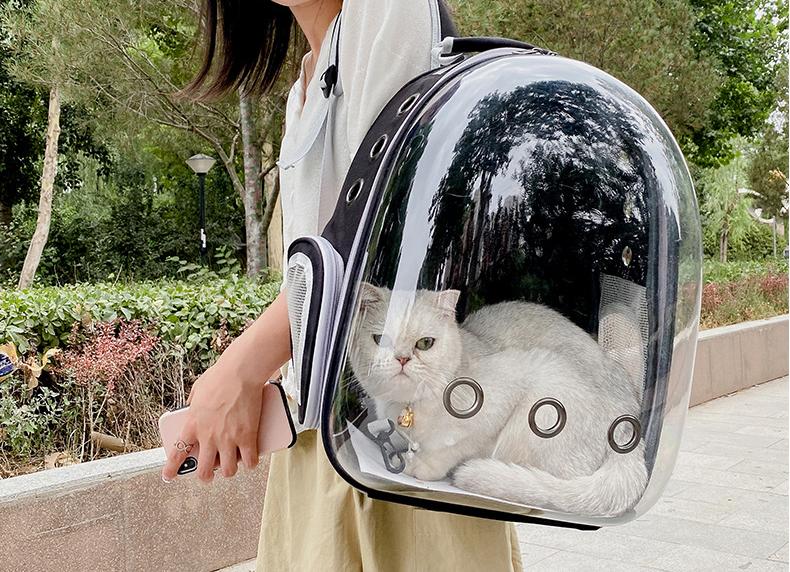 Pet Cat Carrying Bag Space Pet Backpacks Breathable Portable Transparent Backpack Puppy Dog Transport Carrier Space Capsule Bags Pet Cat Carrying Bag Space Pet Backpacks Breathable Portable Transparent Backpack Puppy Dog Transport Carrier Space Capsule Bags