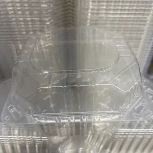 20 Pack 5” plastic container