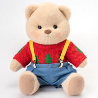 Brown Bear With Outfit