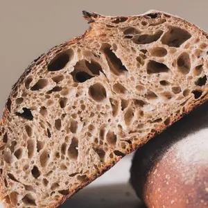 Organic whole wheat 400+ years old sourdough starter dehydrated about 1 ounce Traditional German Natural