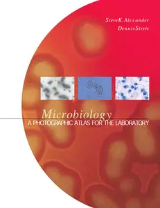 USED-Microbiology: A Photographic Atlas for the Laboratory by Alexander, Steven, PH. D. (Spiral-bound)
