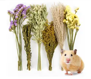 Sukh 42Pcs Herb Bedding Habitat Decor - Natural Flower Hamster Mate Herbs Sprays Cage Safe Pet Accessories Decorations Hideout for Hamsters Mouse Guinea Pig Dwarf Gerbils Syrian Mice