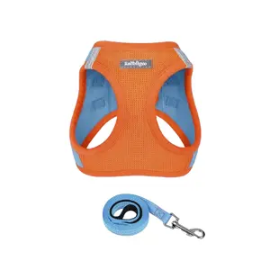 rabbitgoo Minifit Small Dog Harness and Leash Set