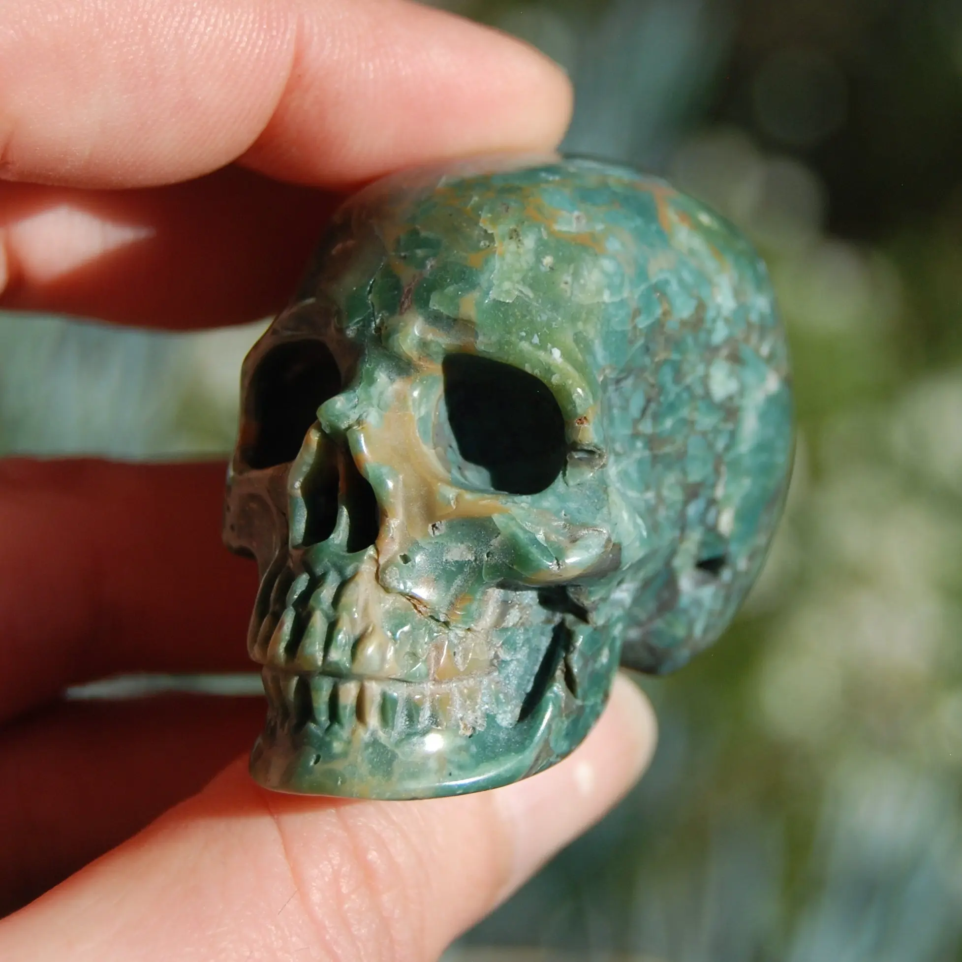 2in Rare Blue Opalized Petrified Wood Carved Crystal Skull