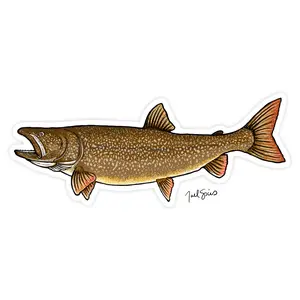 Lake Trout Decal