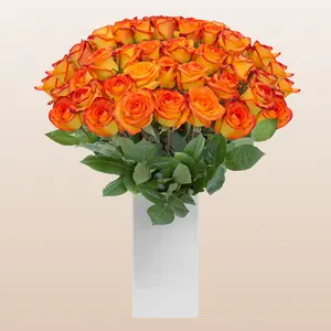 Fresh Roses Bicolor Yellow & Orange 60cm Long Stem Premium Ecuador Import 100 Stems BFF Gift Option