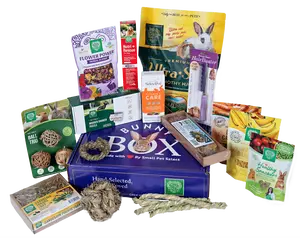 Bunny Box