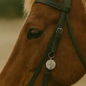 Turn & Burn Keychain Bridle Pendant - Bold Dainty Charm with Colorful Jewel for Horse Accessories