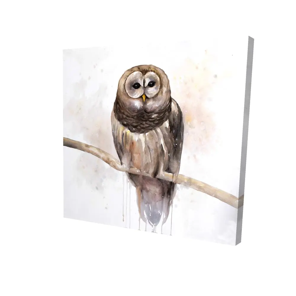 212 MAIN High-Def Barred Owl Rustic Hand-Drawn Art Print - 24x24 in. Bird Wall Art, Nature Bedroom Wall Decor, Thoughtful Gift for Home Enthusiasts (Hand-Drawn Artwork)