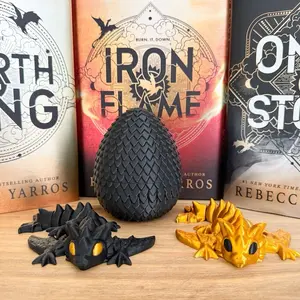 Fourth wing baby dragon and matching eggs