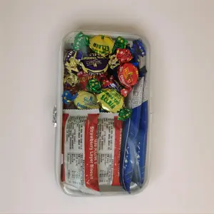 Large Capacity Zipper Organizer Storage Box, Portable Skin Care, Clothes, Books, Room Accessories, Travel Toiletry Bag