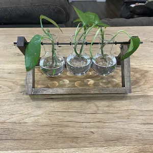 Glass Vase with Wooden Stand, 1 Count Modern Plant Pot Desktop Hydroponic Planter for Home Decoration