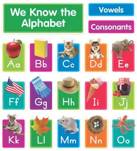 Our Photo Alphabet Bulletin Board