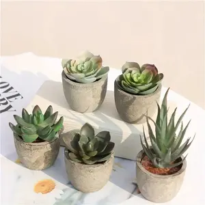 Hot Selling Simulation Succulent Potted Plants, 5-Piece Paper Pulp Planters, Desktop Decorative Ornaments, Fake Plant Decoration for Home & Office Use
