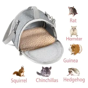 Breathable Flower Design Small Pet Outgoing Bag, Portable Crossbody Travel Carrier for Hamster, Golden Bear, Squirrel, Hedgehog, Parrot & Lizard, Lightweight Fashion Outdoor Carry Bag for Small Pets, Animal Carrier