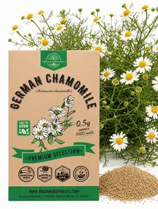 German Chamomile Seeds