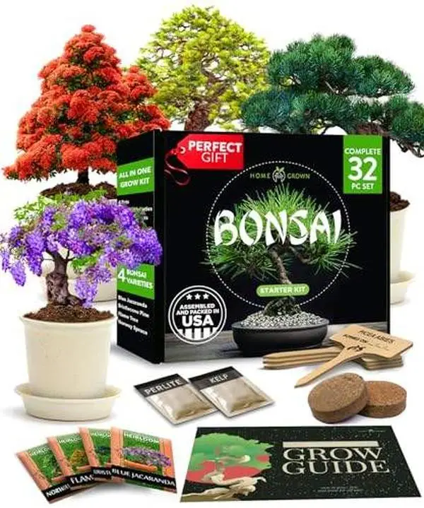 Bonsai Tree Kit, Grow Your Own: Premium 4 Bonsai Trees Starter Kit | Unique Japanese Gifts for Moms Who Have Everything, Women, Men | Gardening Plant