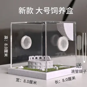 3D Printed Colosseum Tarantula Enclosure Florida Tarantula Enclosure Spider Enclosure Buddha Jumping Spider Eco Box