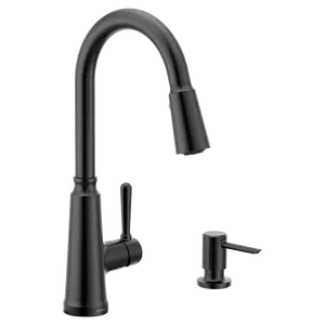 Trew One-Handle High Arc Pulldown Kitchen Faucet