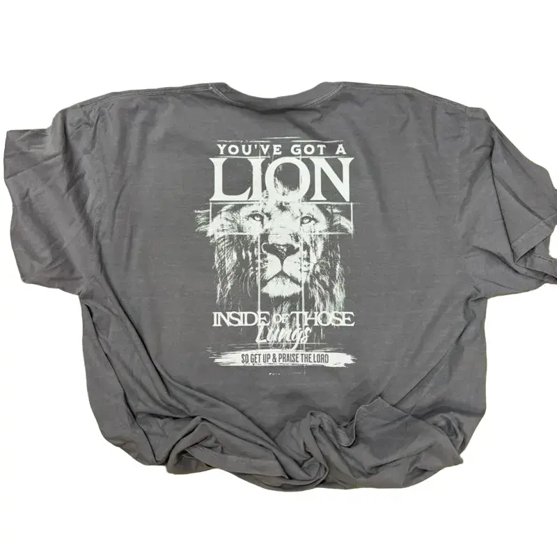 Comfort Colors Praise the Lord Brandon Lake Inspired Tshirt