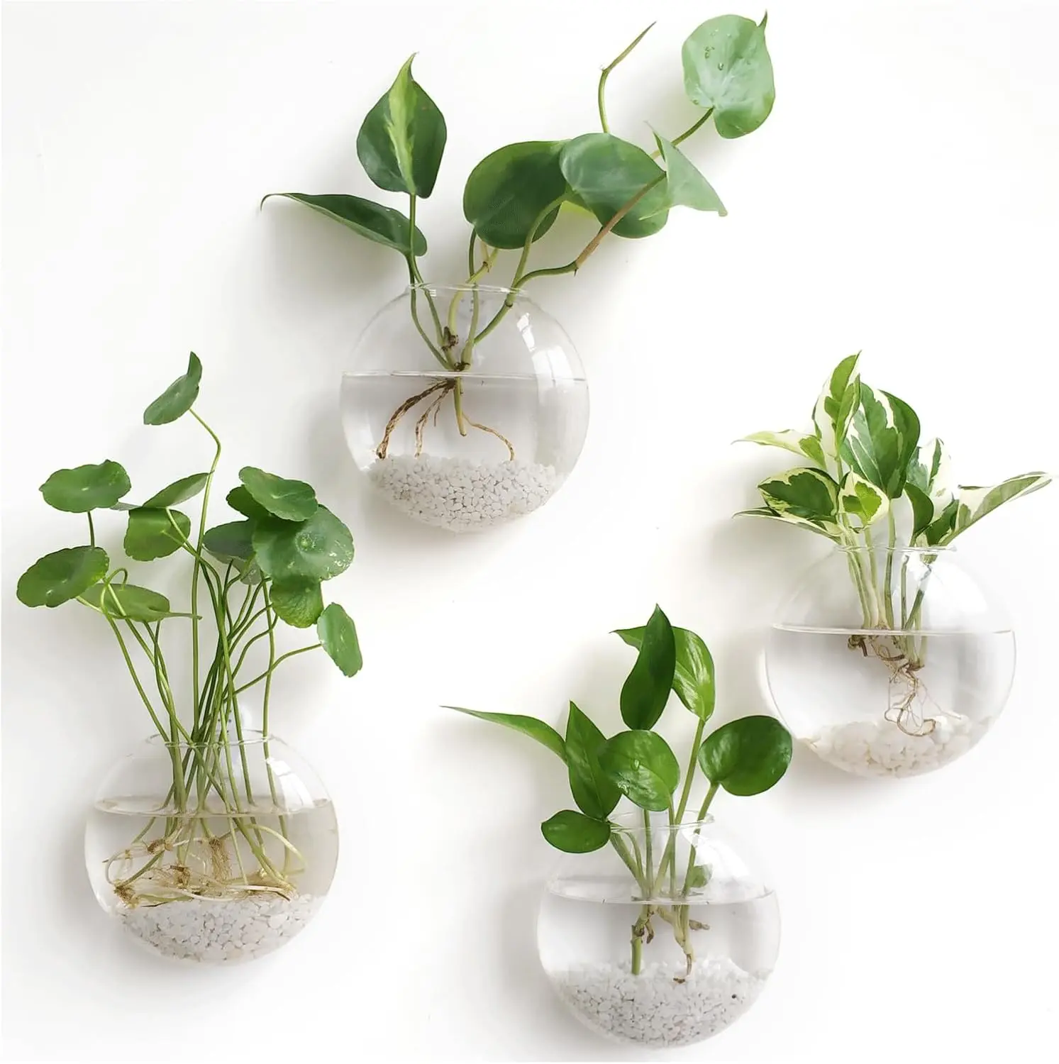 Wall Hanging Planter Propagation Station Glass Flower Vase for Hydroponics , Bathroom, Home Office Living Room Decor , Oblate Set of 4