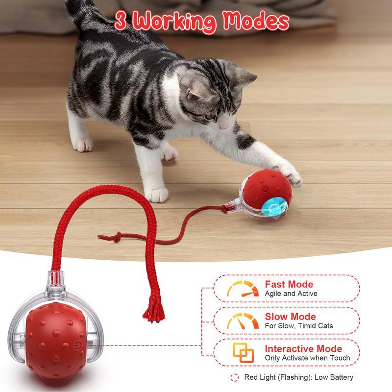Newly Designed 360° Interactive Electric Rolling Mobile Rechargeable Self-play Stimulating Toy, Pet Chase Ball with Fast Tail Rope, Suitable for Indoor Cat, Small Dog Toy, Automatic Rolling Ball