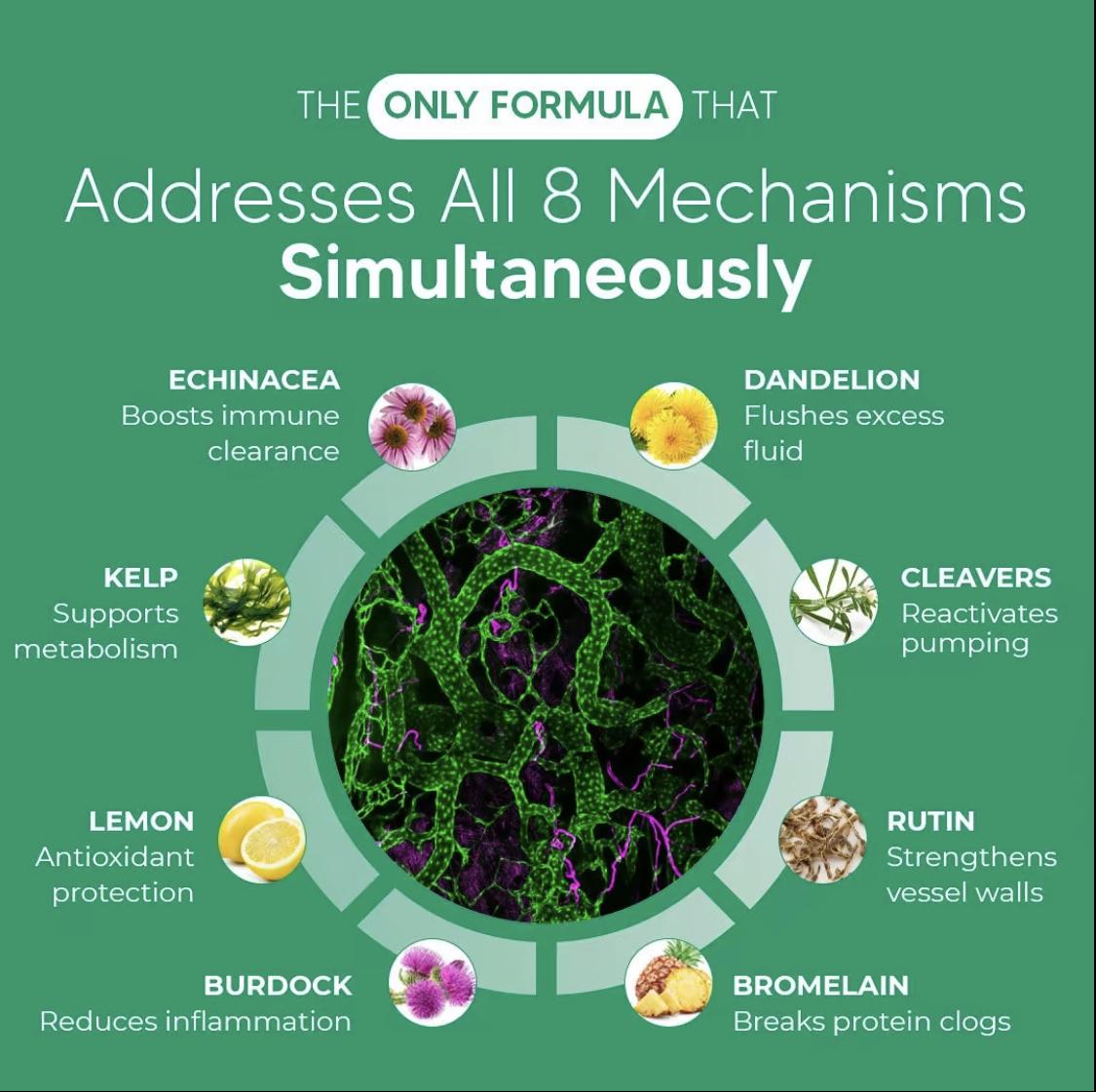 Sculptique Lymphatic Drainage Capsules - Supports Body's Natural Lymphatic Cycle Helps Remove Excess Fluids and Toxins, Supports Natural Lymphatic Cycle - Antioxidant & Detox Binder Supplement