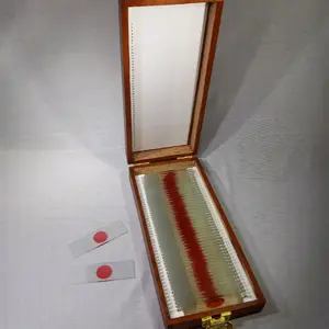 Dexter Bloodslide Box Prop with Wooden Case and Glass Slides for Display Toy Prank Battery Handcrafted Mahogany Series 1 Quality