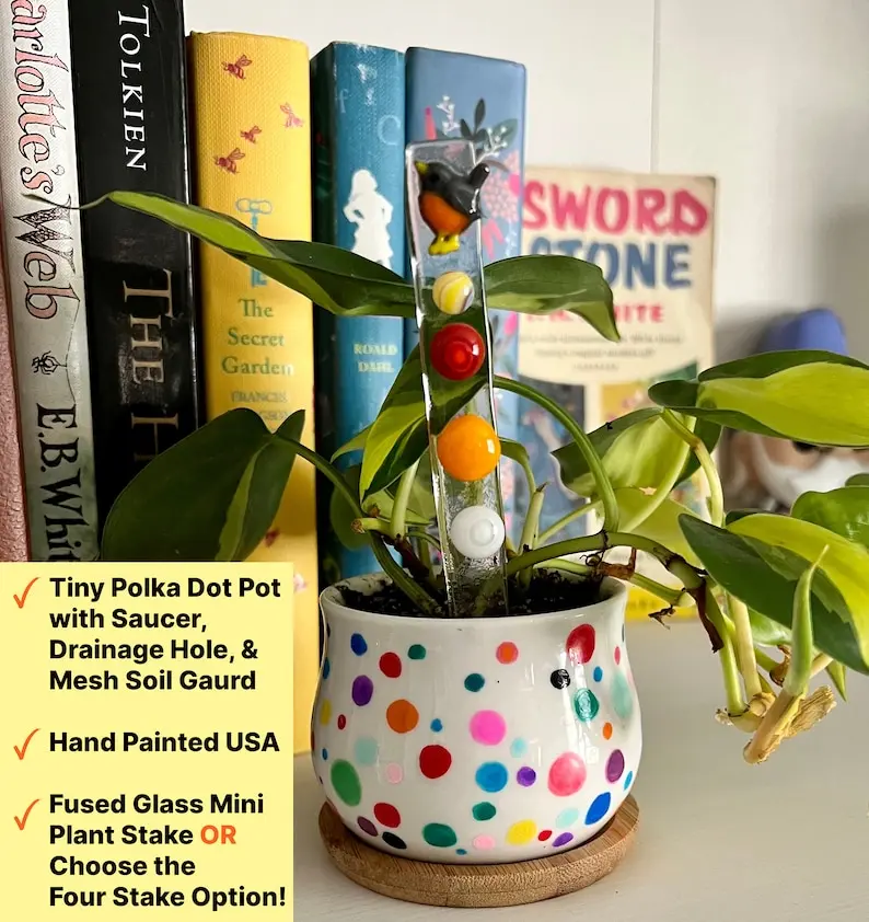 Polka Dot Succulent Pot: Hand-Painted Ceramic Planter with Drainage