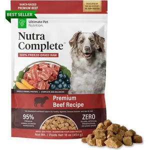 Nutra Complete Freeze Dried Raw Dog Food, 100% Natural Beef Recipe with Antioxidants, Prebiotics and Amino Acids, Veterinarian Formulated Nutrition, 1 lb Bag